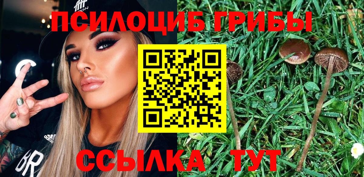 Псилоцибиновые грибы мухоморы Сатка